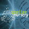 Singularity - Stellar Nursery