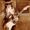 Live At Carnegie Hall - Stevie Ray Vaughan and Double Trouble (Vaughan, Stevie Ray)