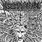 Untitled & 5 Band Genetic Equalizer Pt.4 (In 4 Parts) Split - Agoraphobic Nosebleed