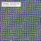 Merriweather Post Pavilion (iTunes version) - Animal Collective (Anml Collective)