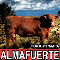Toro Y Pampa - Almafuerte