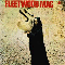 The Pious Bird Of Good Omen - Fleetwood Mac (Peter Green's Fleetwood Mac)