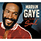 The Prince of Soul - Marvin Gaye (Gaye, Marvin / Marvin Pentz Gay Jr.)