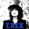 Telegram Sam / Metal Guru (Single) - T. Rex (T.Rex / Tyrannosaurus Rex)