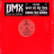 We In Here (Single) - DMX (Earl Simmons)