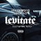 Levitate (Digital Dog Club Mix) (Single)