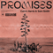 Promises (Single) - Calvin Harris (Harris, Calvin)