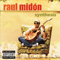 Synthesis - Raul Midon (Midon, Raul / Raul Midón)