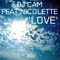 DJ Cam Feat Nicolette - Love - DJ Cam (Laurent Daumail)