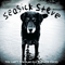 You Can't Teach An Old Dog New Tricks - Seasick Steve (Steven Gene Wold, Seasick Steve and The Level Devils, Seasick Steve & The Level Devils, The Dog)