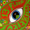 The Psychedelic Sounds Of (Remastered 2005)-13th Floor Elevators (The 13th Floor Elevators)