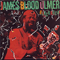 Black Rock - James Blood Ulmer