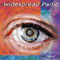 Don't Tell The Band - Widespread Panic