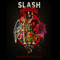 You're A Lie (Single) - Slash (Saul Hudson, Slash's Snakepit)