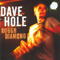 Rough Diamond - Dave Hole (Hole, Dave)