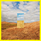 Standing In The Middle Of The Field (Remixes Single)