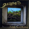 Through The Windowpane - Guillemots