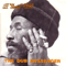 The Dub Messenger - Lee Perry and The Upsetters (The Upsetters / Lee Scratch Perry / King Koba / Rainford Hugh Perry)