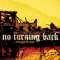 Rise Form the Ashes - No Turning Back
