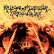 Into The Flames - Pseudostratiffied Epithelium