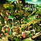 Fleet Foxes Album Snippet (Single)