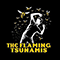 Insignificant Victories (EP) - Flaming Tsunamis (The Flaming Tsunamis)