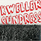 Sundress (EP) - Ben Kweller (Benjamin Lev Kweller)
