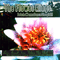 BetchaWannaDanceStoopid!! (Limited Edition Live) - Flower Kings (Roine Stolt's The Flower Kings)