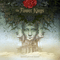 Desolation Rose - Limited Edition (CD 1) - Flower Kings (Roine Stolt's The Flower Kings)