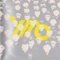 The Ymo Micro Sampler (Single)