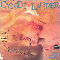 True Colors - Cyndi Lauper (Lauper, Cyndi / Cynthia Ann Stephanie Lauper)