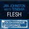 Jan Johnston meets Tenishia - Flesh 2010 (Glenn Morrison Remix) [Single] - Glenn Morrison (Morrison, Glenn)