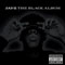 The Black Album - Jay-Z (Jay Z, Shawn Corey Carter)