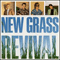 On The Boulevard - New Grass Revival (Fleck Bela, Bela Fleck & The Flecktones, The New Grass Revival)
