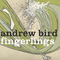 Fingerlings - Andrew Bird (Bird, Andrew Wegman)