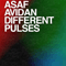Different Pulses - Asaf Avidan & The Mojos