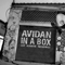 Avidan In A Box - Asaf Avidan & The Mojos