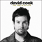 The Time of My Life - David Cook (Cook, David)