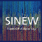 Pilots Of a New Sky - Sinew