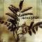 Tuonela - Amorphis