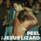 Peel Sessions - Jesus Lizard (The Jesus Lizard)