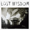 Lost Wisdom (feat.) - Mount Eerie (Phil Elverum)
