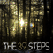 Coming Clean - 39Steps (The 39Steps)