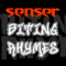 Biting Rhymes (EP) - Senser