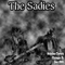Live @ Schuba's 12.01 - Sadies (The Sadies / Eaglebauer)