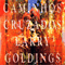 Caminhos Cruzados - Larry Goldings (Goldings , Larry)