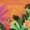 Exotica (Cosmic Love Continues) - Sven Van Hees (Van Hees, Sven)