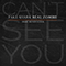 Can't See You (Single)
