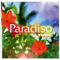 Paradiso - Tube (JPN) (チューブ)