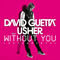 Without You (Instrumental Version) - David Guetta (Pierre David Guetta)